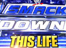 WWE2014年12月12日_SD美国职业摔角
