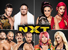 WWE2015年11月26日_NXT美国职业摔角
